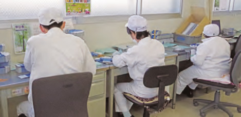 Employees with intellectual disabilities in a Dream Workshop