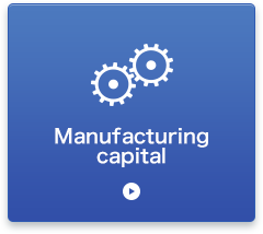 Manufacturing Capital