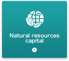 Natural resources capital
