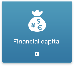 Financial capital