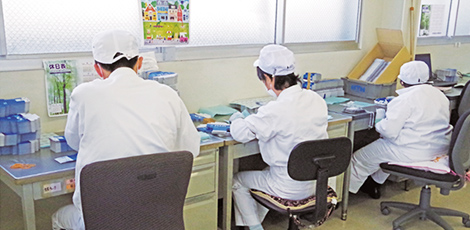 Employees with intellectual disabilities working at the Dream Workshop