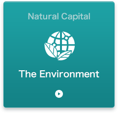 The Environment