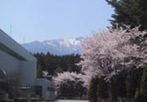 NAGANO WORKS