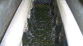 Cleaning nozzle(ON)