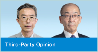 Third-Party Opinion