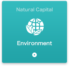 The Environment