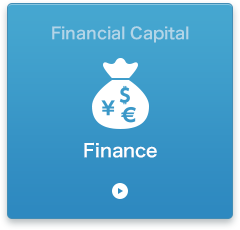 Financial Strategies