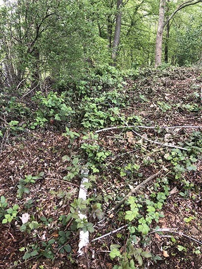 Compost storage area