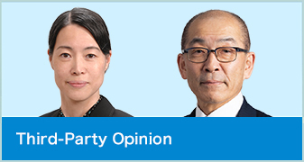Third-Party Opinion