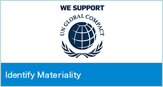 Identify Materiality
