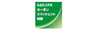 S&P/JPX Carbon Efficient Index