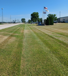 Bower Road Cleanup (U.S.A.)