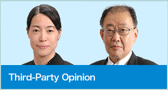 Third-Party Opinion