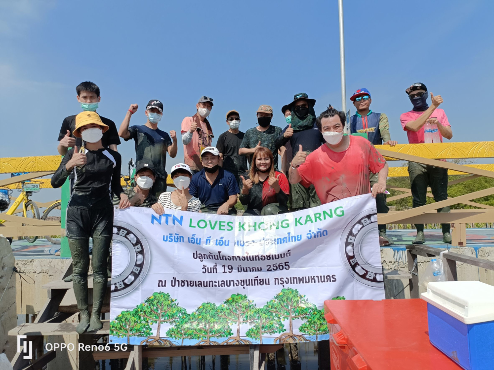 Planting mangroves