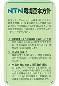 Environment Policy Card