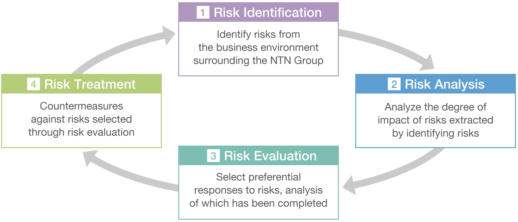 Risk management process