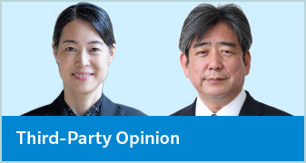 Third-Party Opinion