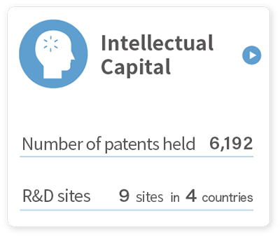 Intellectual capital