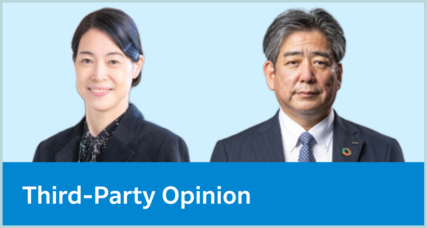 Third-Party Opinion
