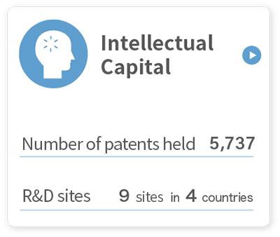 Intellectual capital