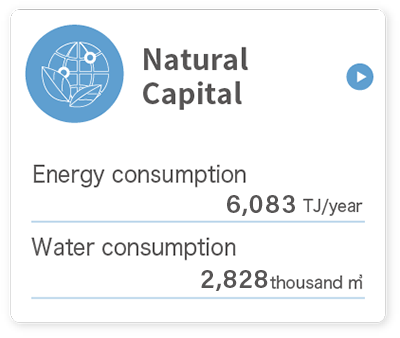 Natural capital