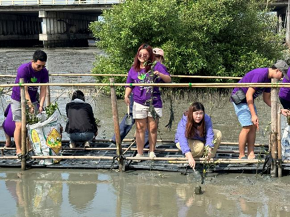Mangrove planting activities in Thailand