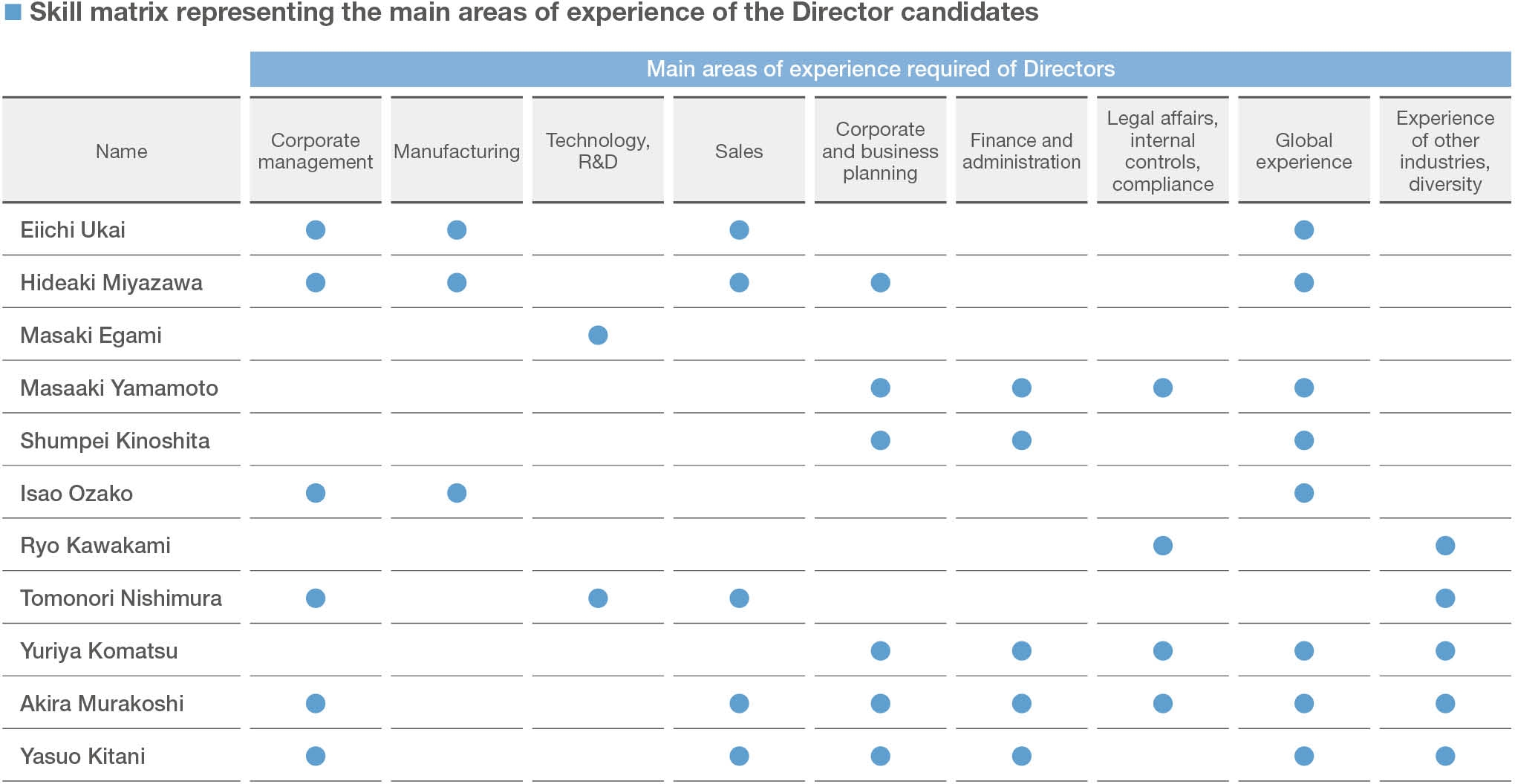 Skill matrix representing the main areas of experience of Director candidates