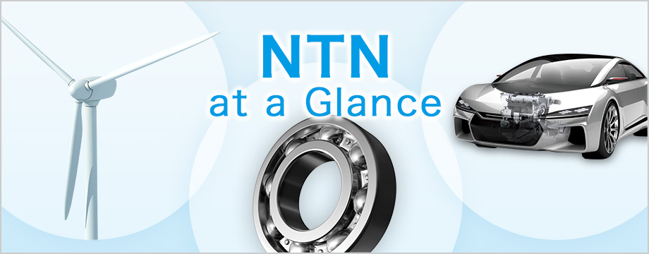 NTN at a Glance