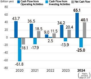 Graph : Net Cash Flow