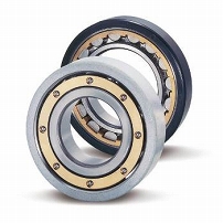 Traction motor bearings