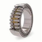 Rotor shaft bearing