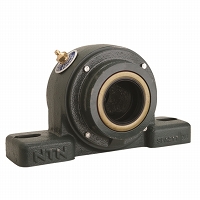 Bearing unit