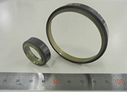 &ldquo;Multi Track Magnetic Ring&rdquo;