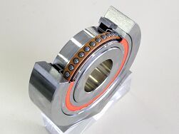 Bearing photograph (cutaway sample)