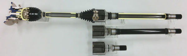 Cutaway model