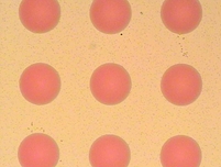 (1) Coating