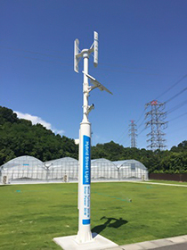 Appearance of Hybrid Street Light