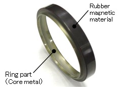 (a) External appearance