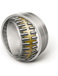 The developed product