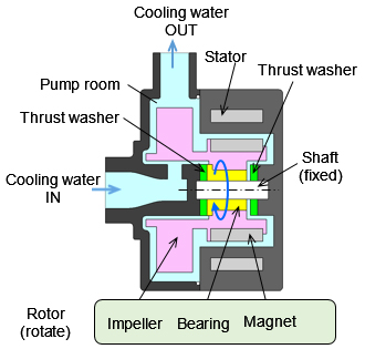 Cross-sectional image of electric water pump