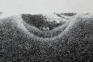 Cross-sectional view of rollers of bearings where metallographic composition is fused by sparks