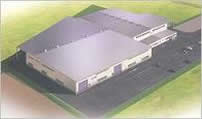 Photo: New plant (left) Image