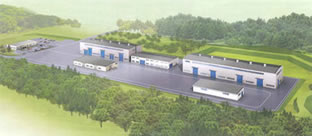 Photo: New plant (right) Image