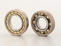 Traction motor bearings