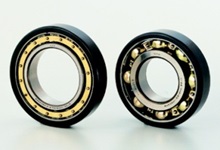 Traction motor bearings