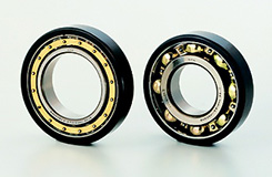 Traction motor bearing