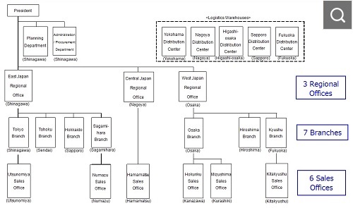 New Organizational Structure