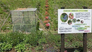 Reserve in the premise