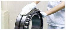 Image: How-to: Handling & Aftercare
