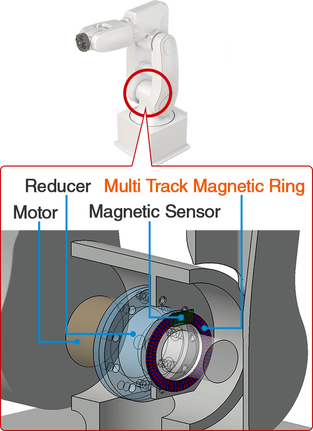 Multi Track Magnetic Ring